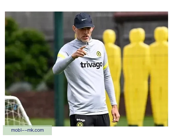 娜塔莉比约恩加盟切尔西女足全面提升防线实力
